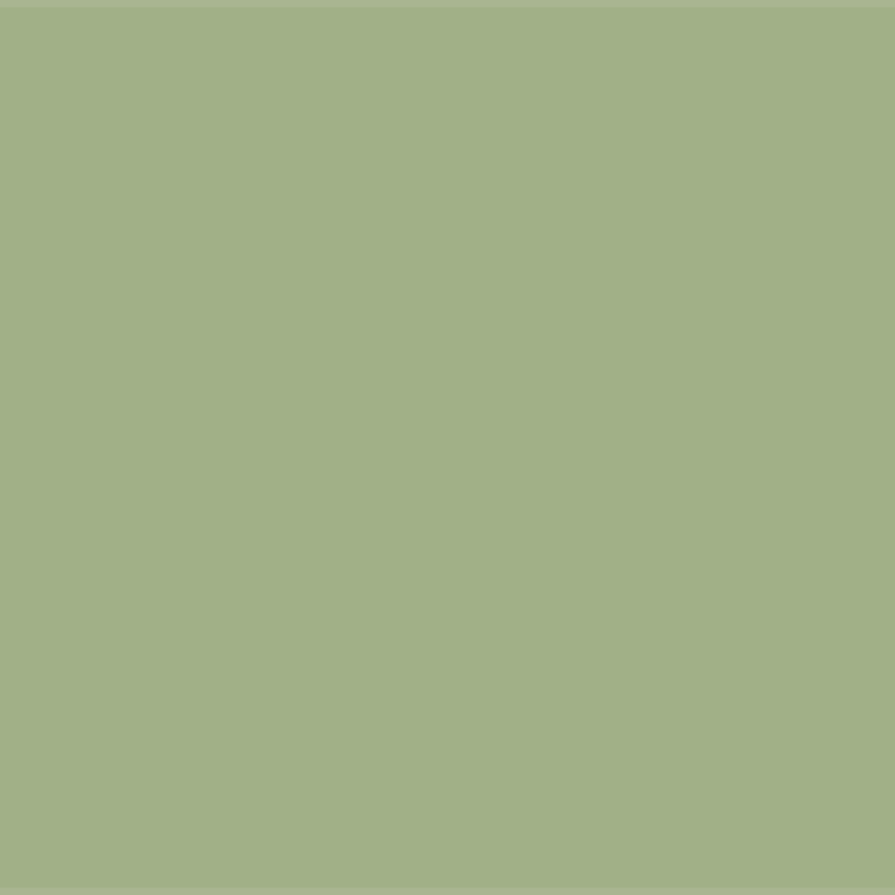 Sedge Green Wood Paint