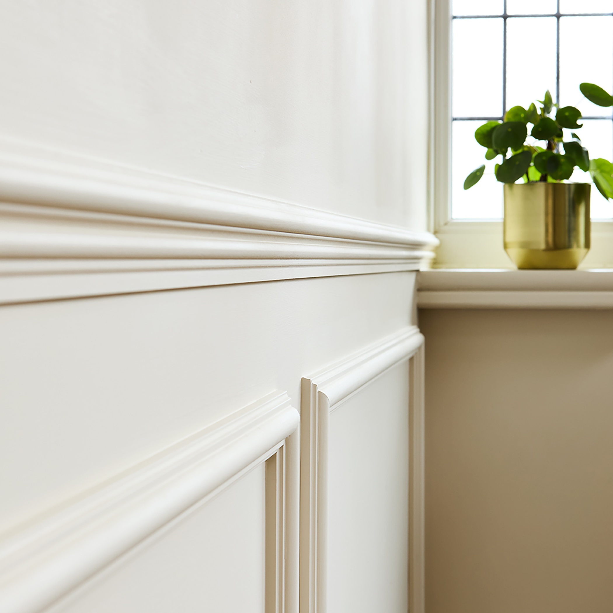 Whey White Wall Paint