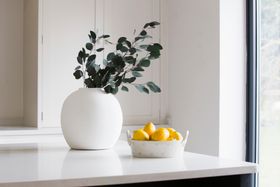 Charlested Aria Vase