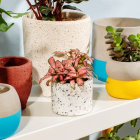 Small Terrazzo Planter