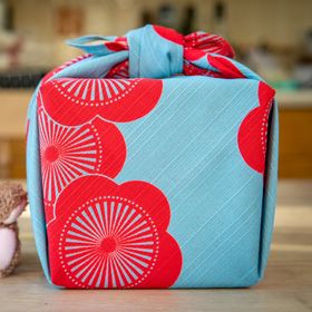 Small Reversible Furoshiki - Japanese Apricot Blue & Beige