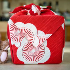 Small Reversible Furoshiki - Japanese Apricot Red & Green