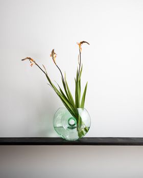 Glass Circle Vase