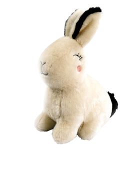 Plush Rabbit Dog Toy