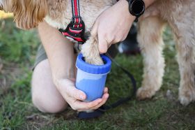 Jollyes - Rufus & Rosie Dog Paw Washer