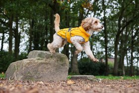 Rufus & Rosie Fleece Lined Coat