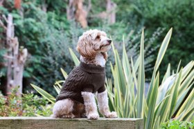 Rufus & Rosie Brown Knitted Dog Jumper