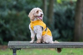 Rufus & Rosie Fleece Lined Dog Coat