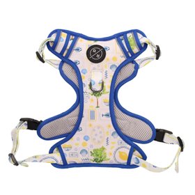Amalfi Coats Theme Dog Harness