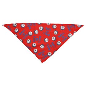 World Cup  'Ball Is Life' Pet Bandana