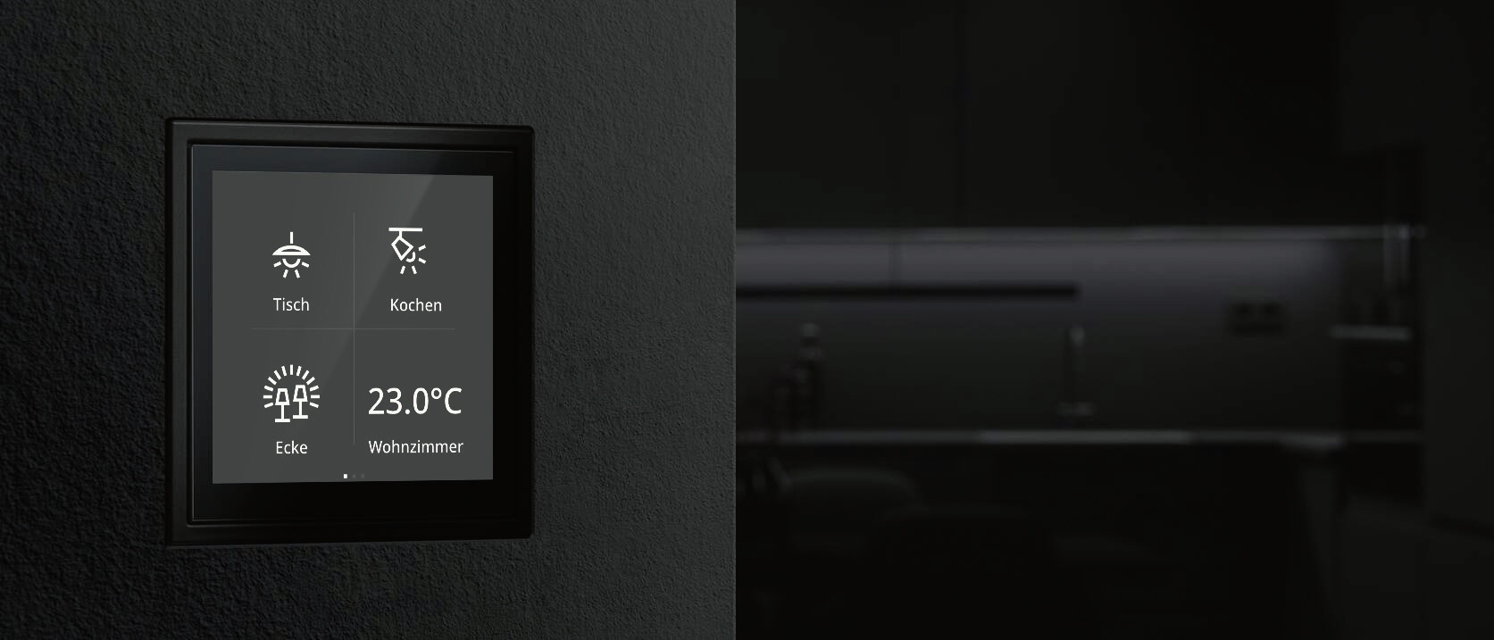 JUNG AMBI  LSZ SWM 14x6cm