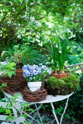 Frühling im Cottage Garten / Spring Cottage Garden