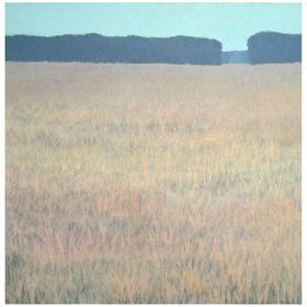 2011 Bjarne Dahl Grass and Forrest