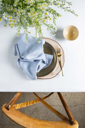 Light Blue Linen Napkin - Set of 2