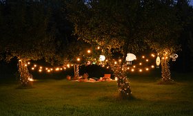 Night Time Orchard with Warm White Lighting