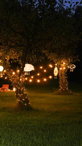 Evening Orchard with Warm White Lighting