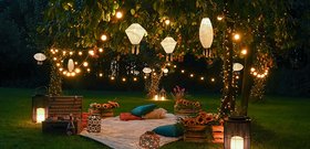 Evening Orchard Styling