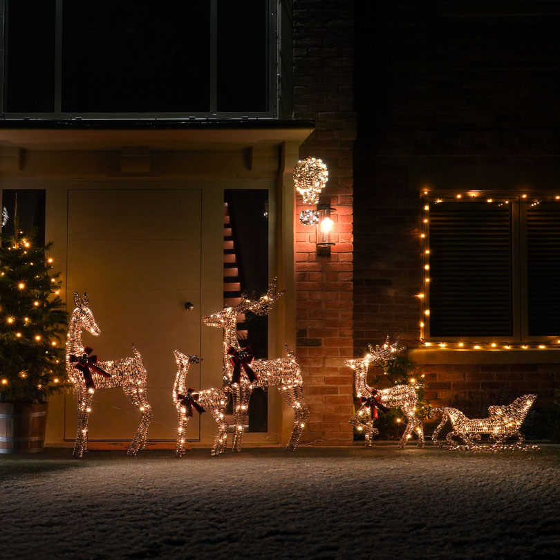 Christmas Reindeer Collection