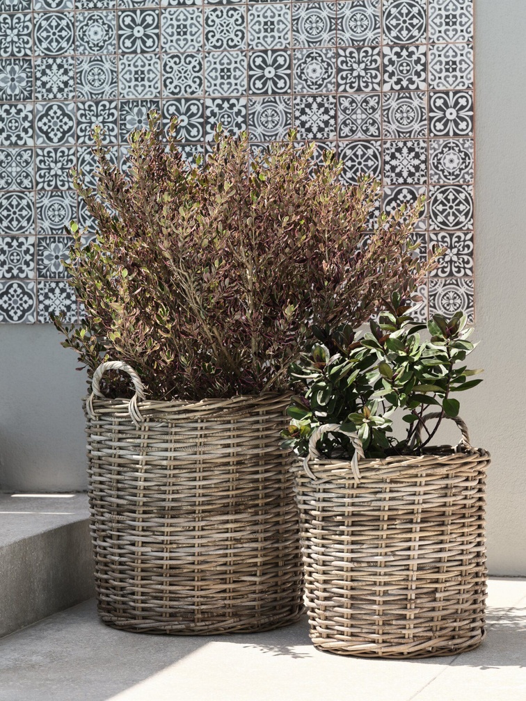 Planter basket SANSEBIE D50/40 kubu natural 2pcs/set