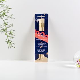 VENT for Change Pack of 3 recycled pencils - Ideas Buttermilk & Blue