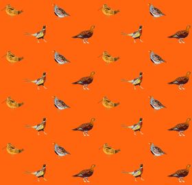 Game Birds Wallpaper 