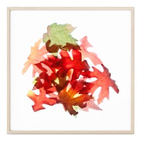 Autumn Leaves Floral Art Print