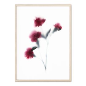 Red Carnations Floral Art Print