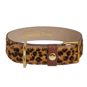 Luxury Leather Leopard Print Dog Collar