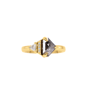 Roxanne - Shield Shaped Dark Salt & Pepper Diamond