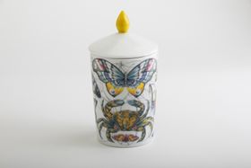 Candela Luxe Festina Lente Home