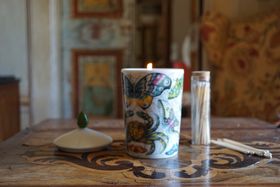 Candela Luxe Festina Lente Home