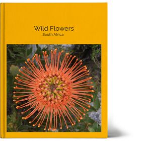 Memory Books  - Personalised Books