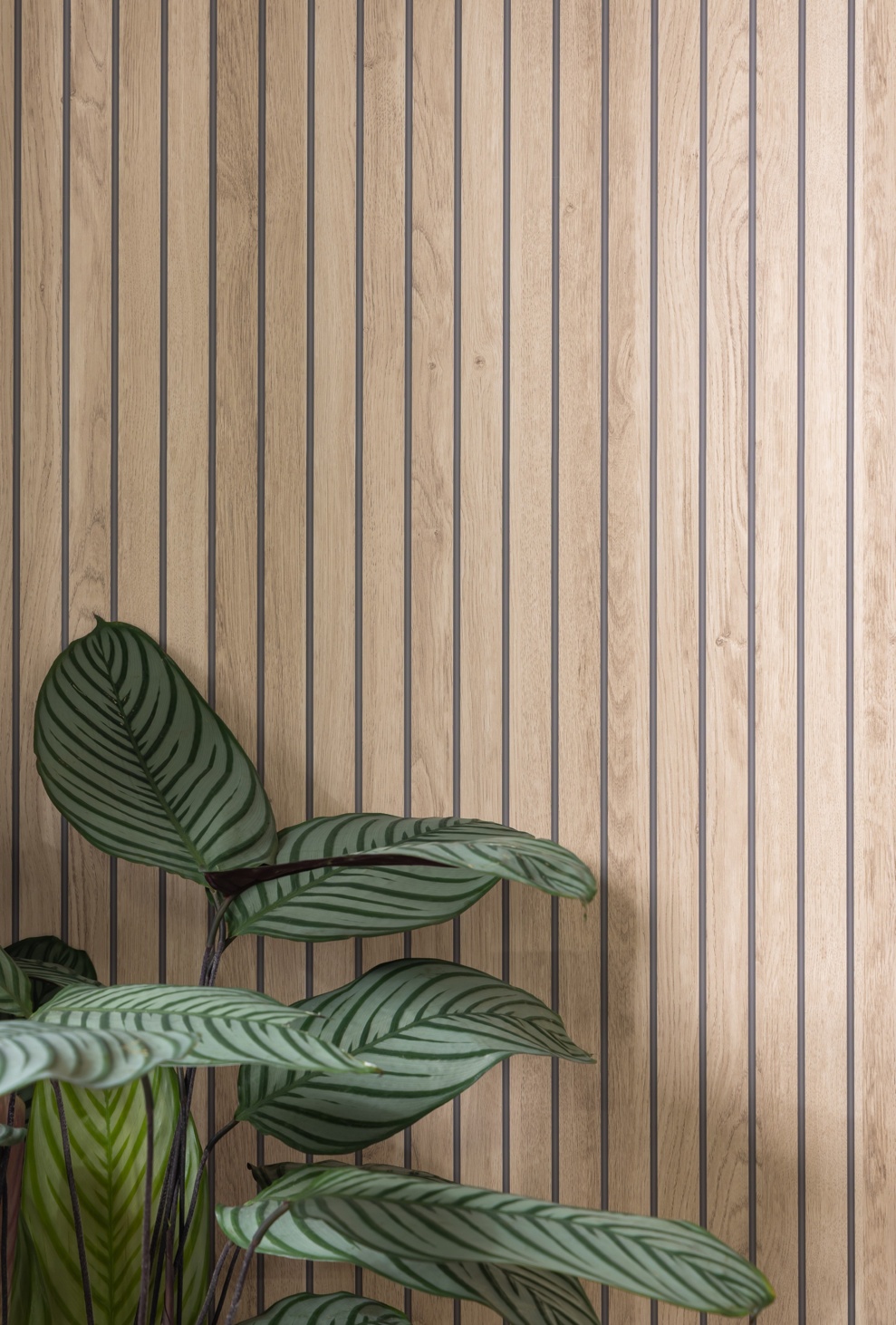 Sivara Oak Slatted Wood Effect PVC Shower Panel