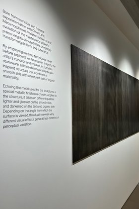 DTS Metamorphoses di Ceramiche Refin@RefinGallery Steel