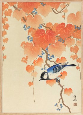 Ohara Koson - Great Tit on Paulownia Branch Poster