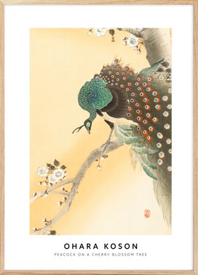 Ohara Koson - Peacock on a Cherry Blossom Tree Poster