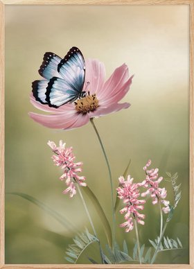 Spring Butterfly Flower Poster