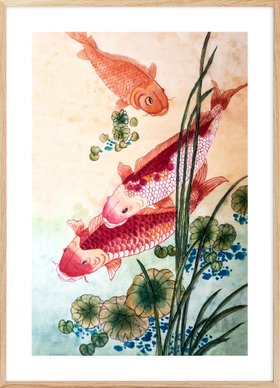 Japanese Koi Fish Poster