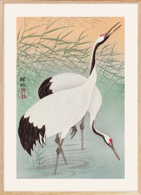 Ohara Koson - Two Cranes Poster