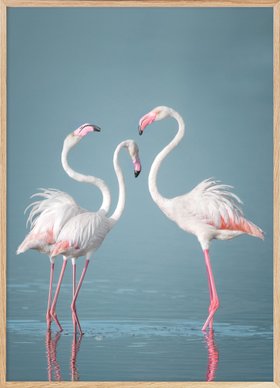 Japanese Cranes Poster