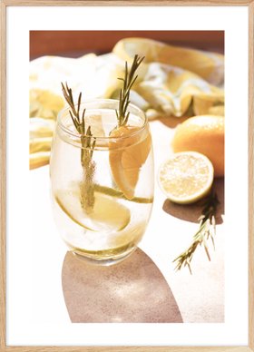 Citrus Cocktail Poster