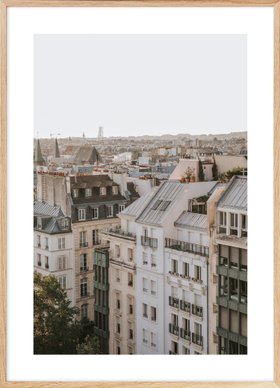 Paris Rooftops Poster