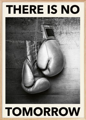 Boxing Gloves Poster