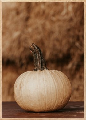 White Pumpkin Harvest Poster