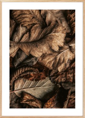 Autumn Leaves Texture Poster