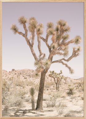 Calm Beige Desert Serenity Poster