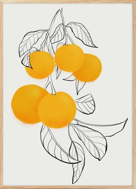 Tangerine Citrus Elegance Poster