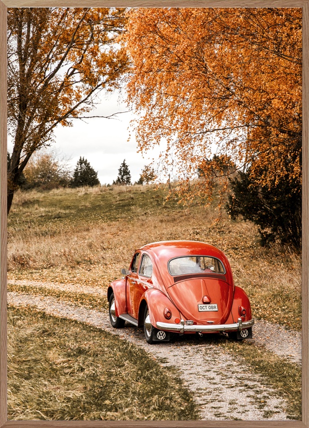 Autumn Ride Poster