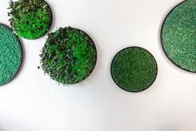 G-Circles
