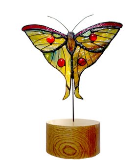 Moon Moth Stained Glass